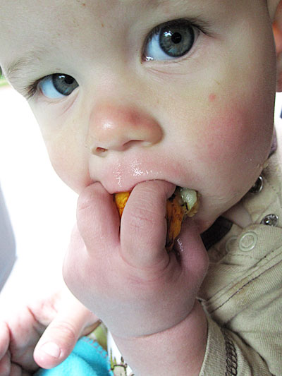 Loquat_eating_1