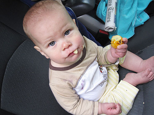Loquat_eating_2