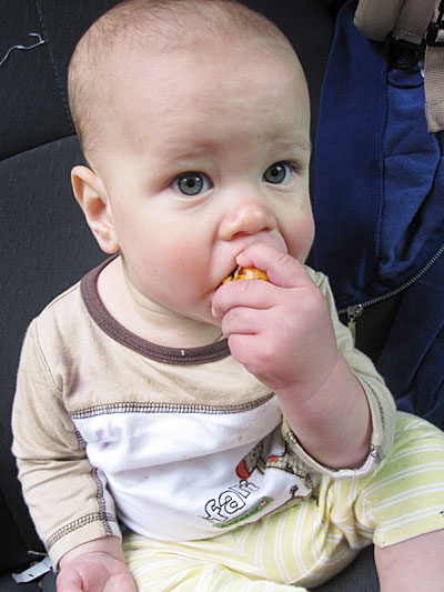 Loquat_eating_3